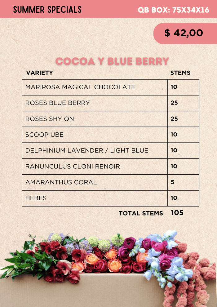 Cocoa & Blueberry Summer Flower Mix Box