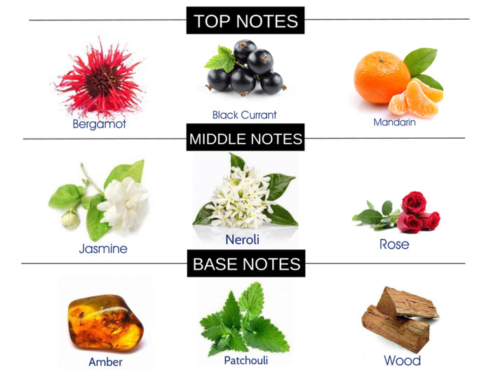 COMPARE TO SI FRAGRANCE BODY BUTTER - Ceed Fragrances