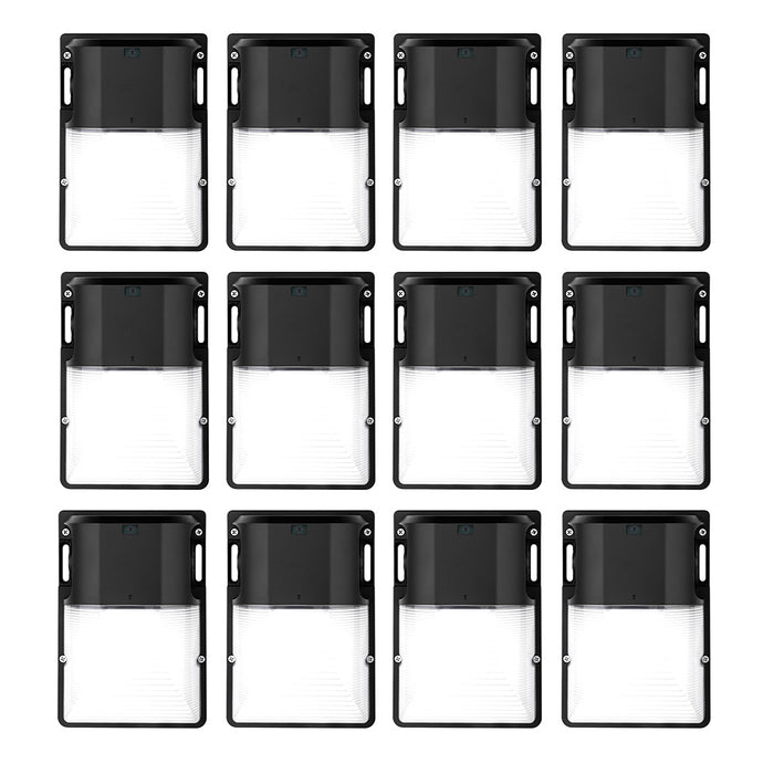 Pack of 12