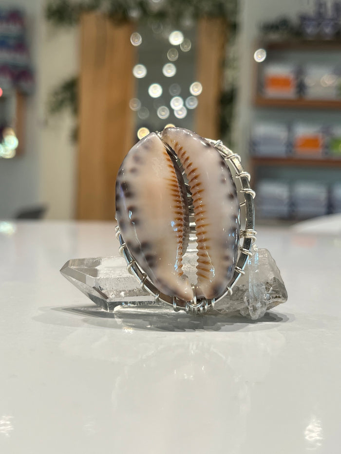 LARGE COWRIE RING IN SILVER