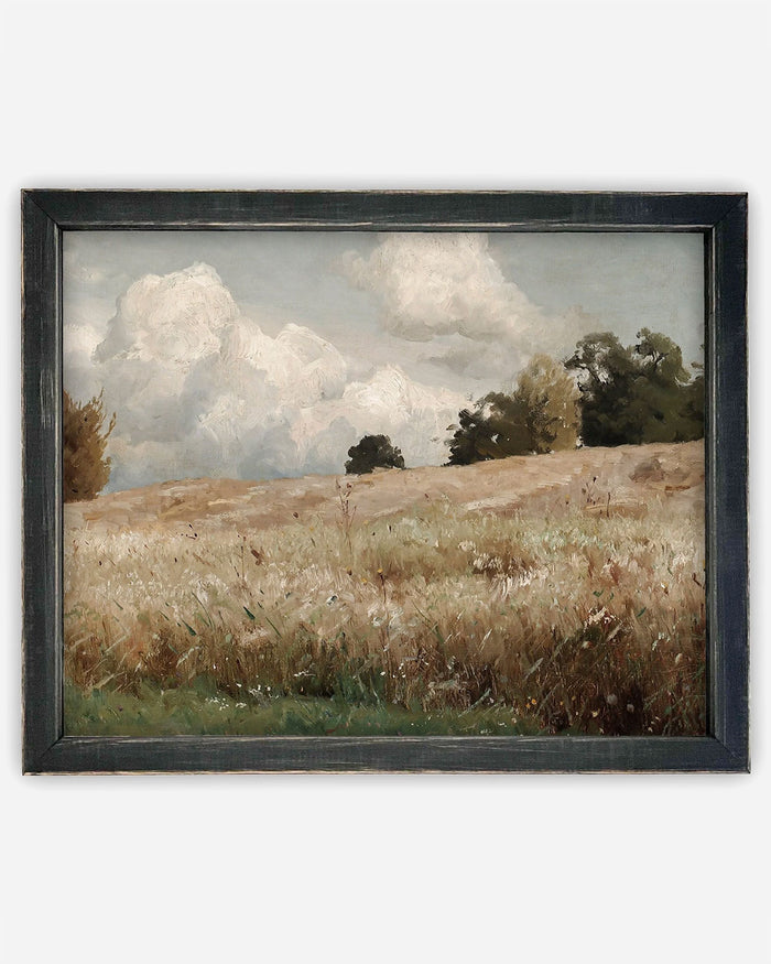 Meadow's Dream