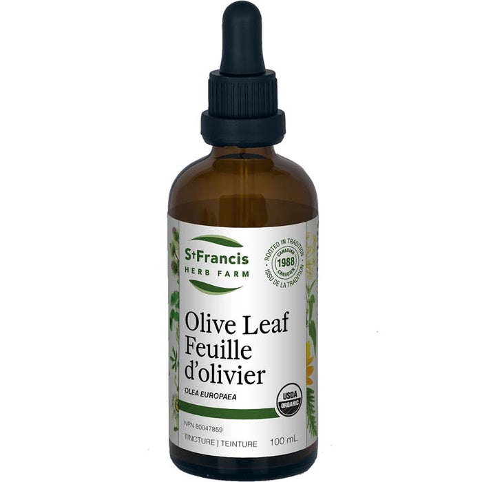 St. Francis: Olive Leaf