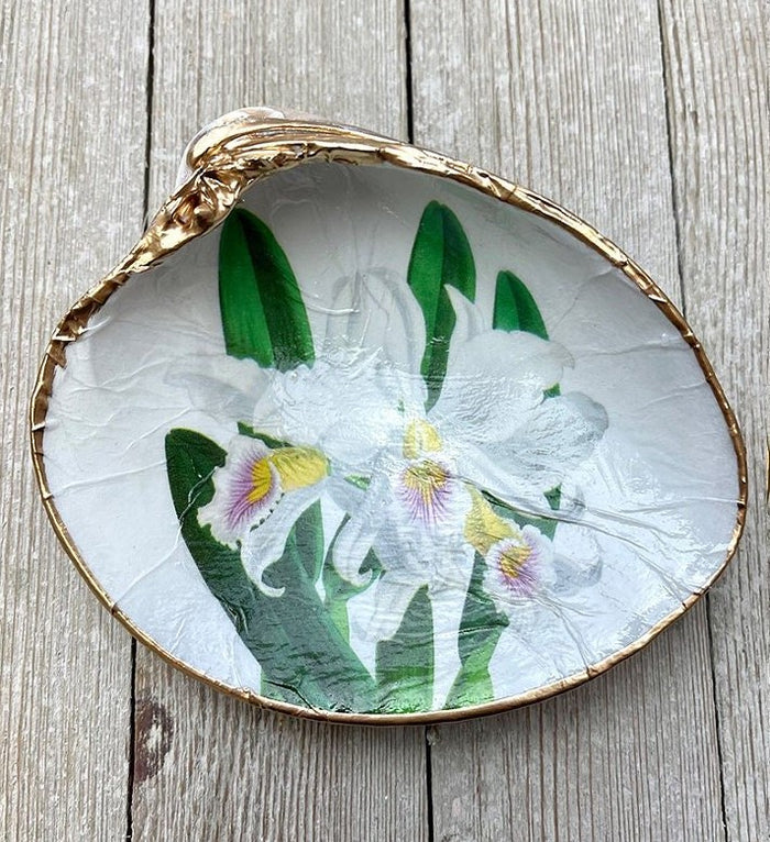 Clam Shell - Orchid