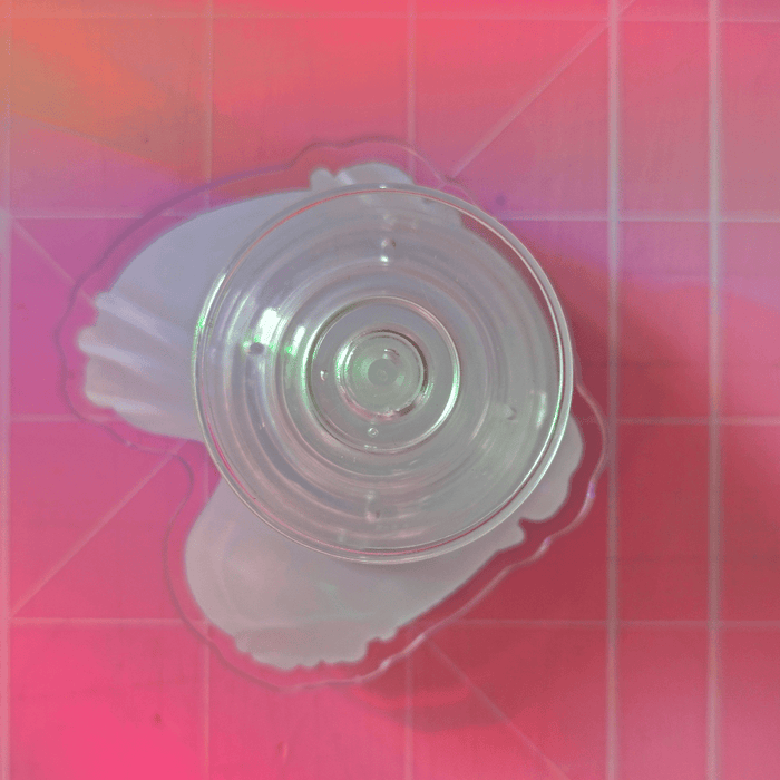 Duck Pond Spinning Acrylic Phone Grip Fidget Toy - Koodle