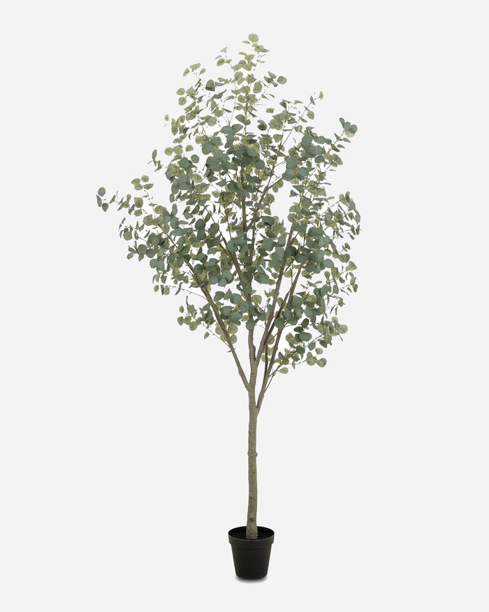 Faux Eucalyptus Tree