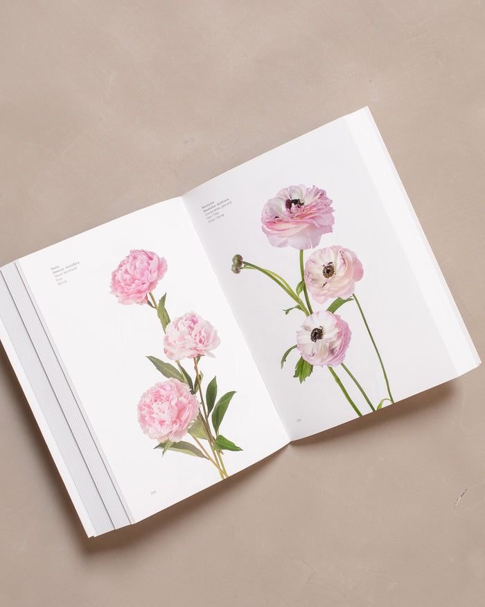 Flower Color Guide