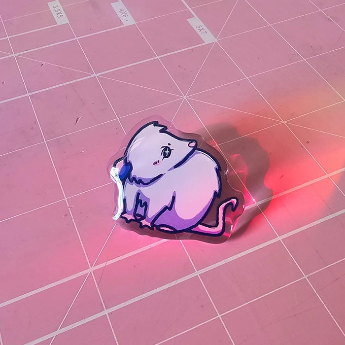 Forbidden Cats Acrylic Pin Trio Featuring Raccoon, Skunk, and Opossum - Koodle
