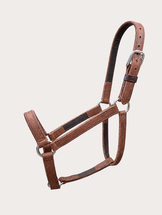 Halter - HA02 - Ultimate Lined Leather Halter