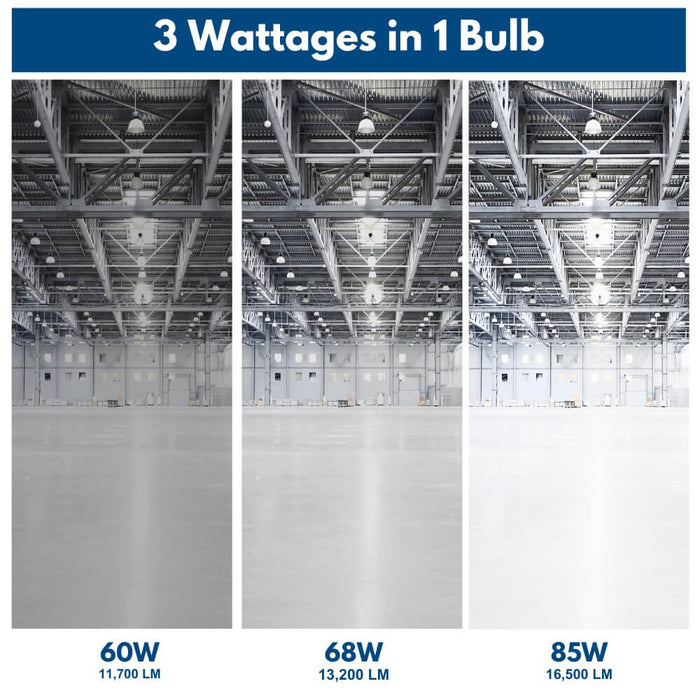 wattage selectable High Lumen LED Filament Bulb