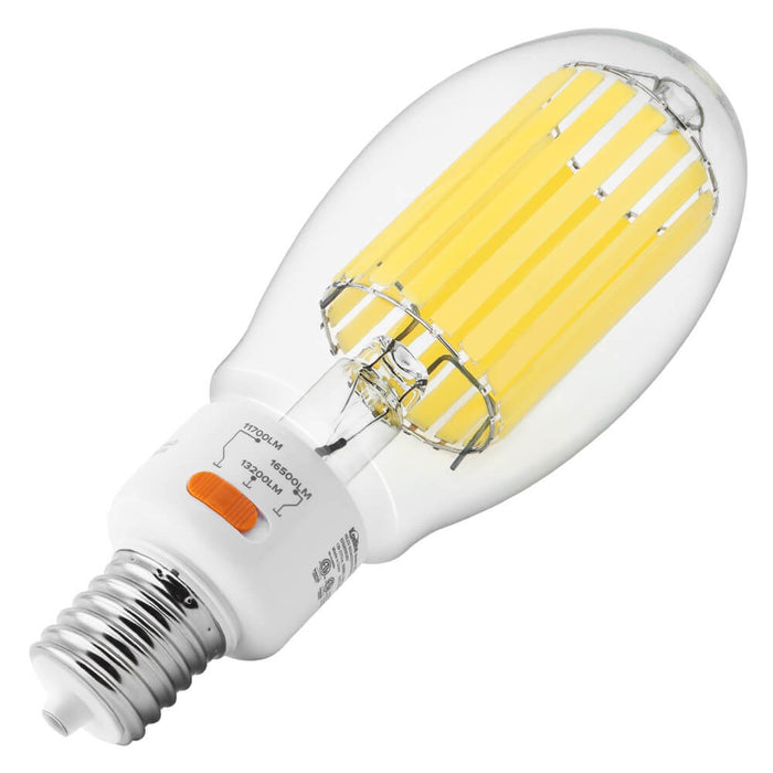 High Lumen LED Filament Bulb