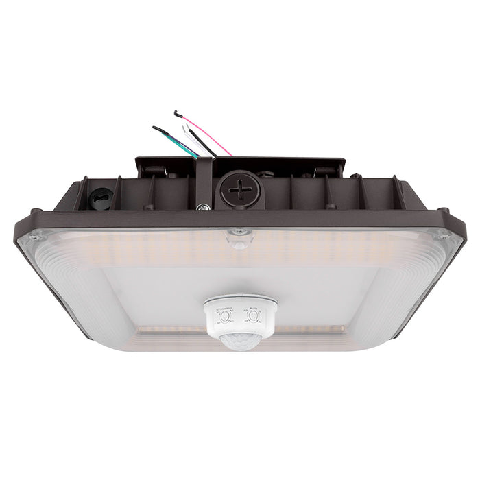 With Motion Sensor +$25
