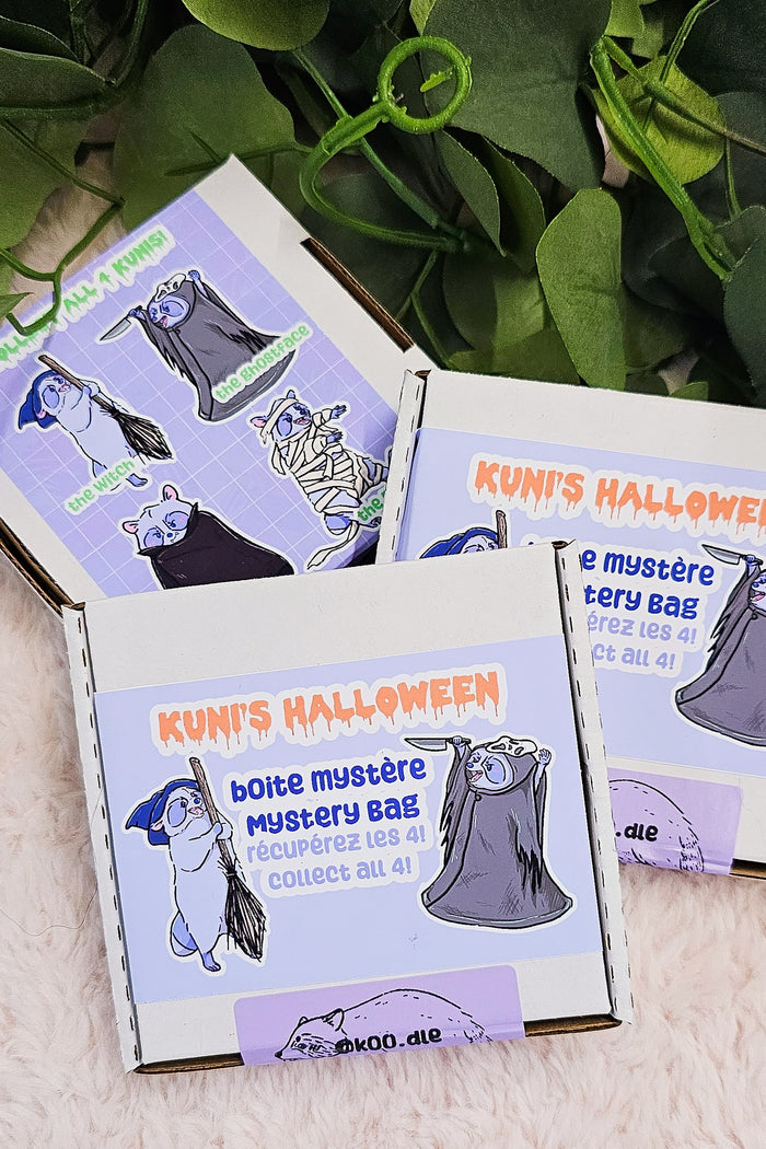 MYSTERY BAG Kuni the Raccoon Spooky Horror Iridescent Keychain Mystery Box/Keychain/Bag Charm - Koodle