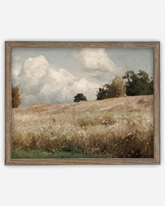Meadow's Dream
