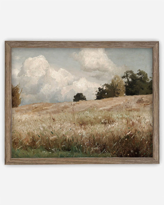 Meadow's Dream