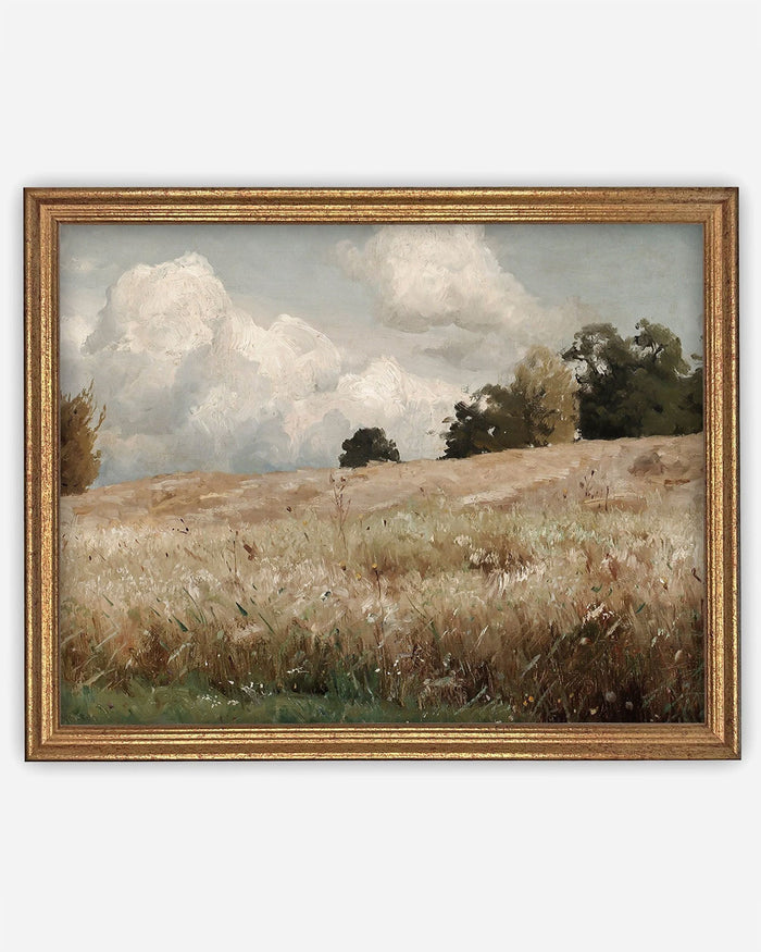 Meadow's Dream