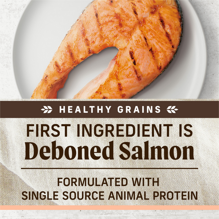 Merrick Limited Ingredient Diet Dry Dog Food Real Salmon & Brown Rice Recipe with Healthy Grains