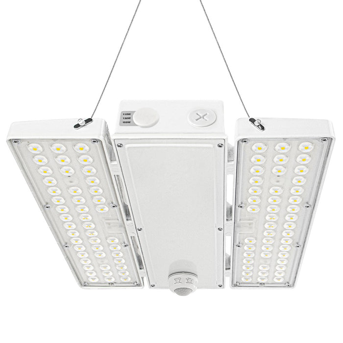 With Motion Sensor +$25