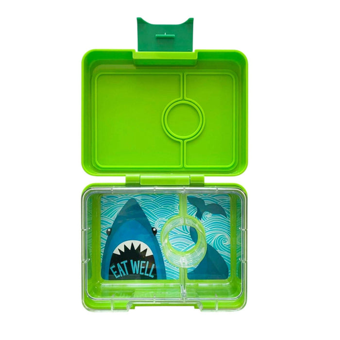 Jurassic Green with Shark Tray