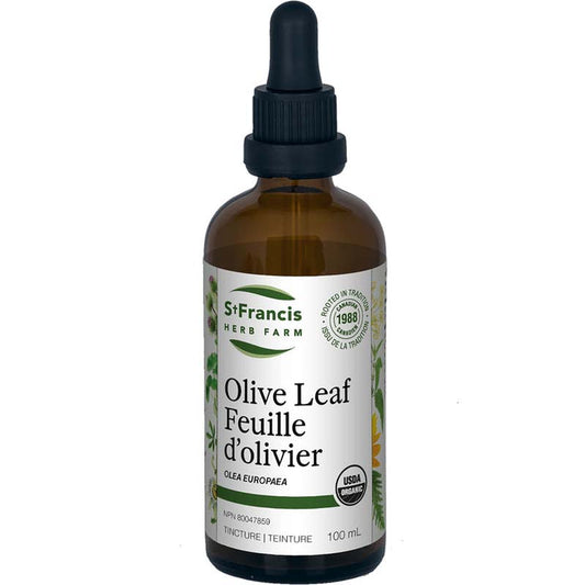 St. Francis: Olive Leaf