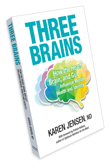 Three Brains: Mental Health Book - Karen Jensen MD
